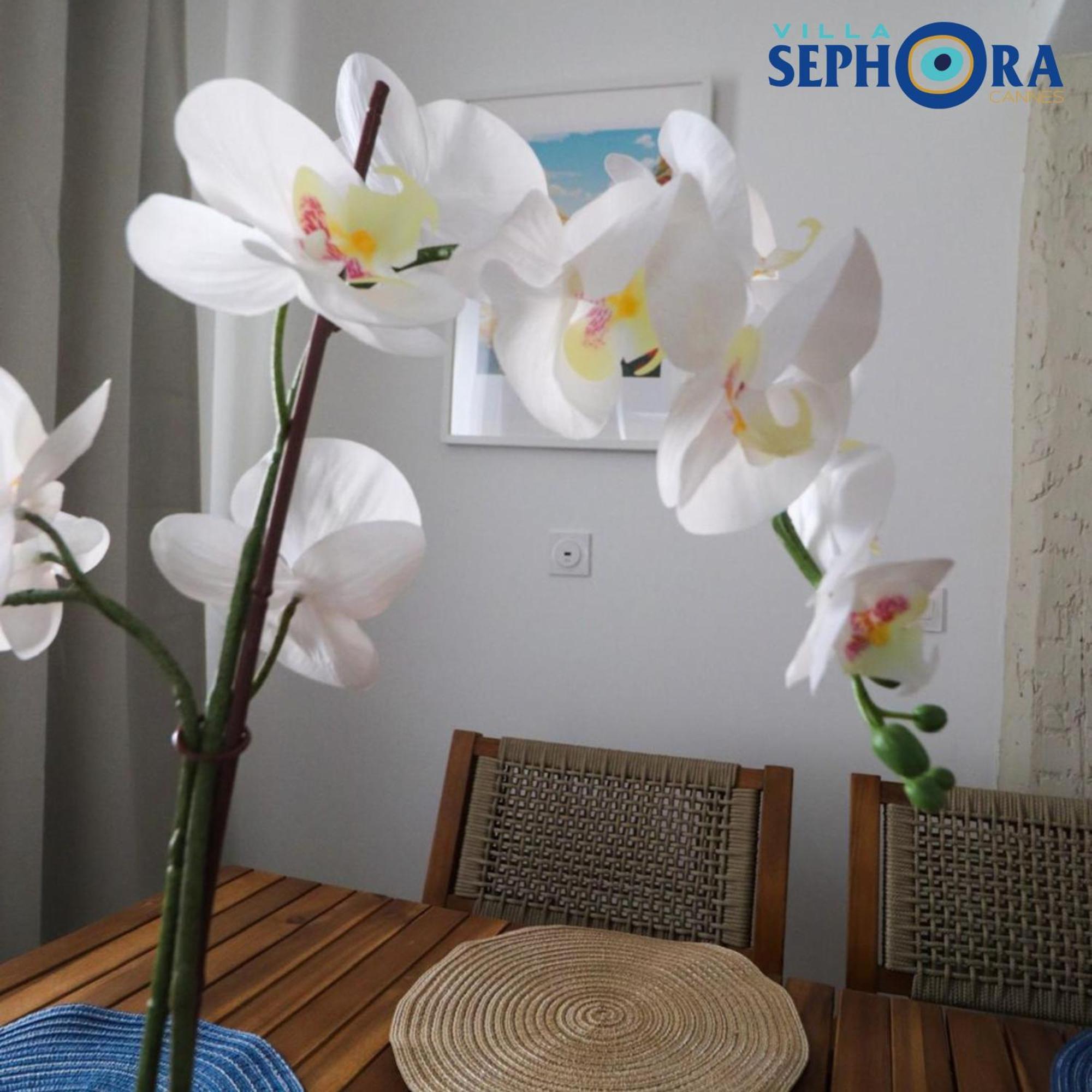 Villa Sephora Cannes Extérieur photo